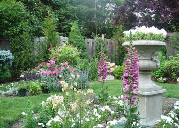 Garden, purple flowers