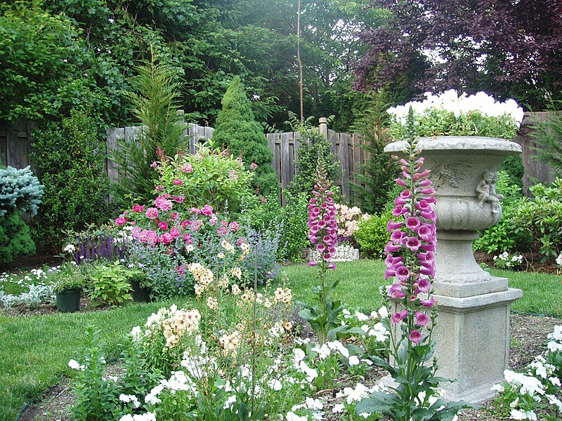 Garden English, flowers, herbs, bush, purple flower