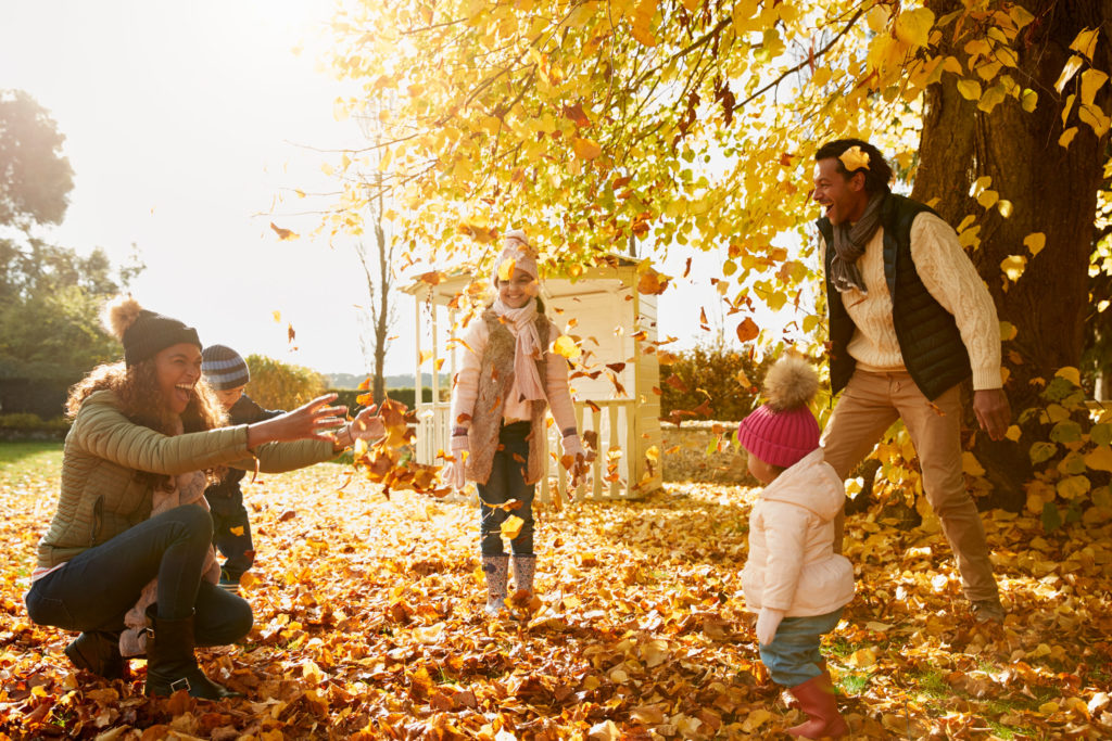 Play in the leaves